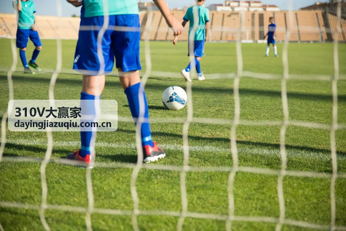 310V大赢家德甲意甲专家