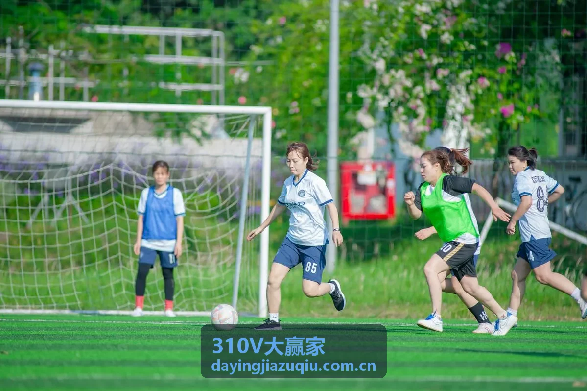 310V大赢家玩法全面解析